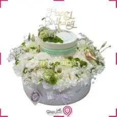 پکیج تولد آلماز g-bo-viv-453