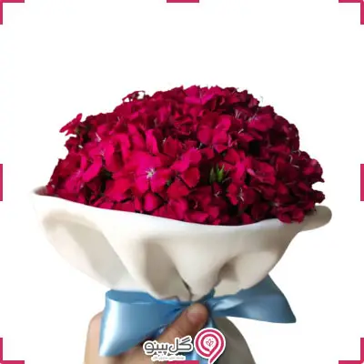 دسته گل اورانوس g-f-day-892