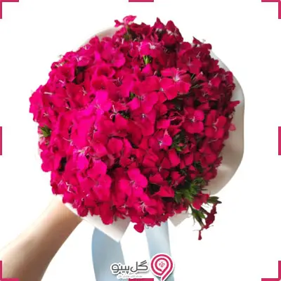 دسته گل اورانوس g-f-day-892