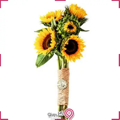 دسته گل آفتابگردان هیمان g-f-rol-728