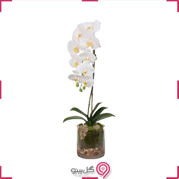 گلدون گل ارکیده سفید تک شاخه g-g-hgol-293