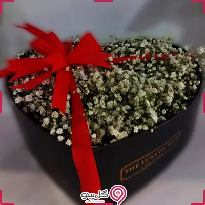 خرید باکس گل فرمیسک
