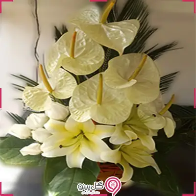 سبد گل فرنیان