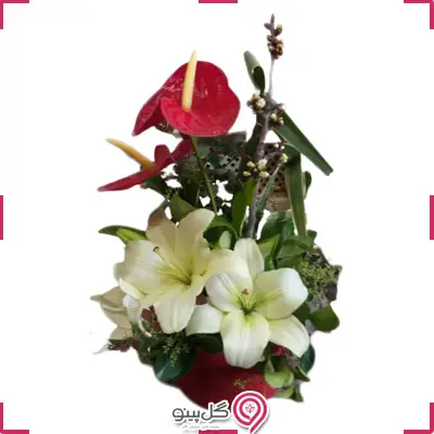 باکس گل تتیسا g-bo-ghg-122