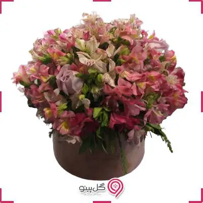 باکس گل سایدا g-bo-ghg-131