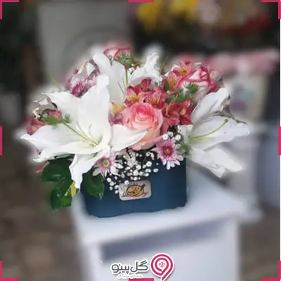 قیمت باکس گل چیکا g-bo-sh-741-5