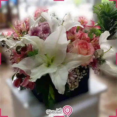 تخفیف باکس گل چیکا g-bo-sh-741-6