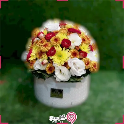 خرید باکس گل مرجان g-bo-gia-337