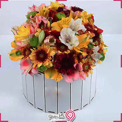 باکس گل مرجان g-bo-gia-337