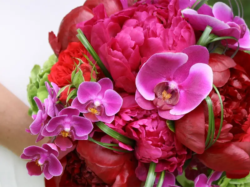 گلهای زیبا برای تبریک