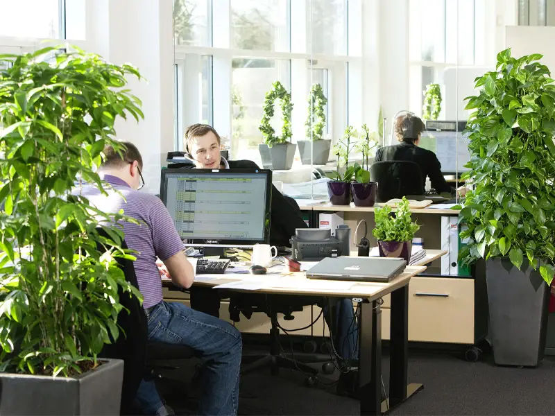 گل برای ارگان ها