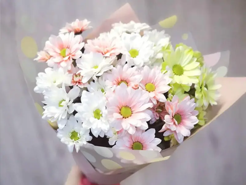 گل تشکر و قدردانی