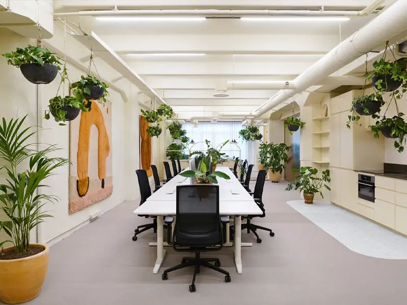 گل برای سازمان