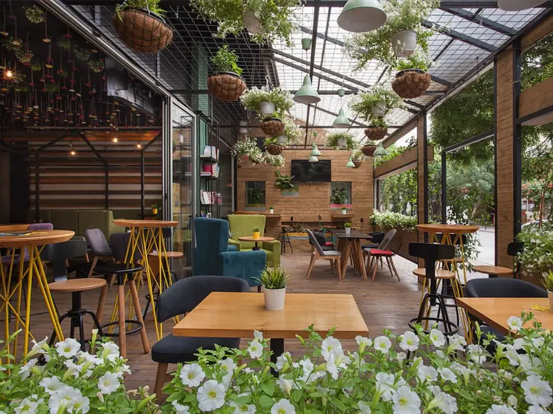 گل مناسب برای کافه