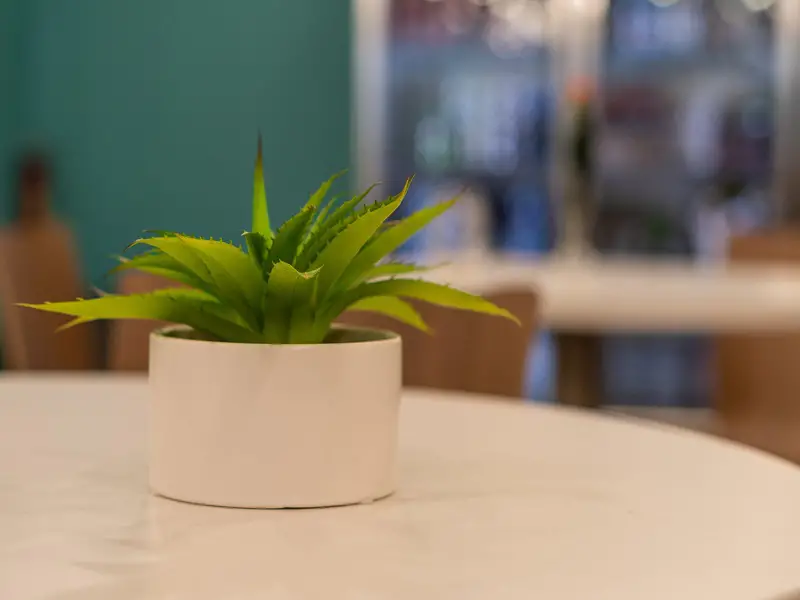 گل برای شرکت