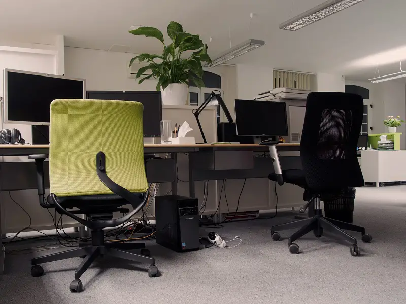 خرید گیاه از گلپینو