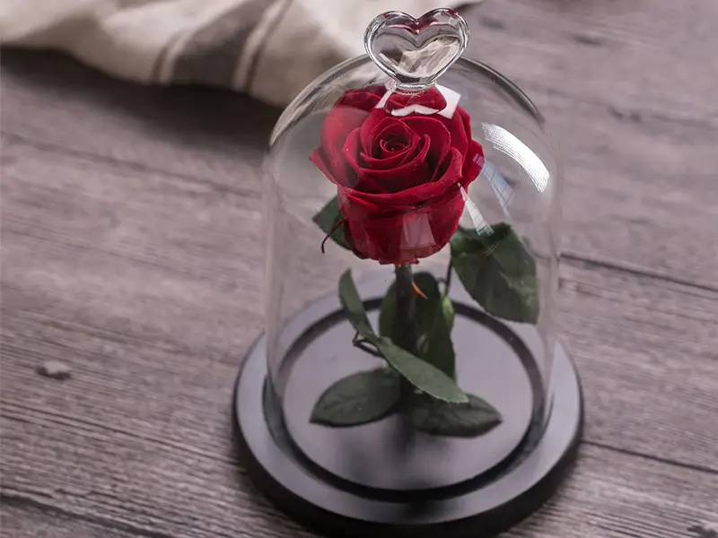 سفارش آنلاین گل در کرج