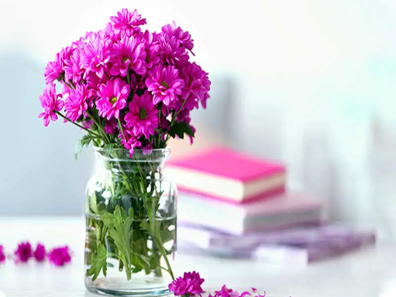 گل فروشی محلاتی