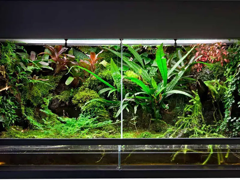 هدیه دادن تراریوم برای منزل نو