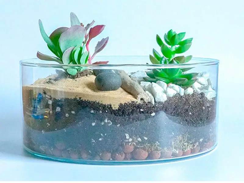 هدیه دادن تراریوم برای تشکر