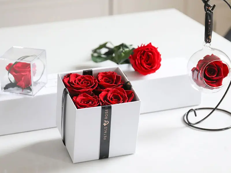 خرید باکس گل پرند