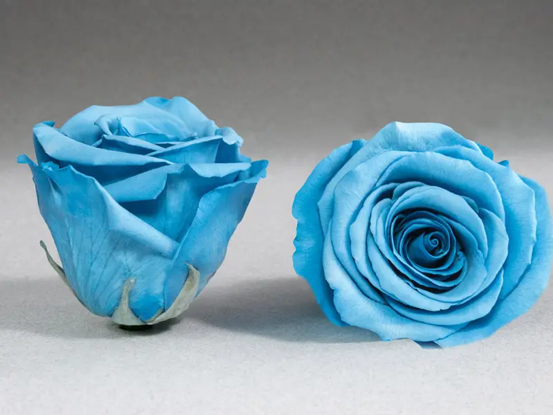 سفارش گل آنلاین تبریز