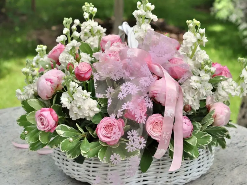 عکس گل خواستگاری جدید
