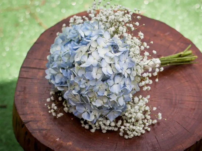 دسته گل ادریسی برای روز معلم