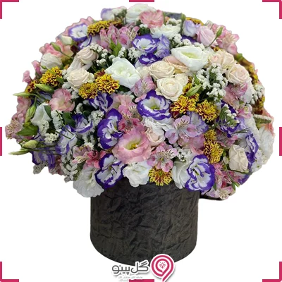 باکس گل حلما g-bo-dos-897