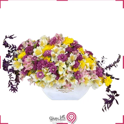 باکس گل ادخت g-bo-dos-905