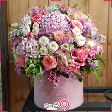 باکس گل آریان g-bo-heyd-713