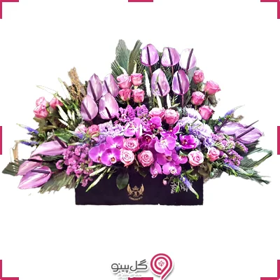 باکس گل آبلیا g-bo-heyd-719