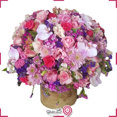 باکس گل دایل g-bo-heyd-732