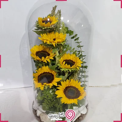 باکس گل نیلسا g-gs-mo-331