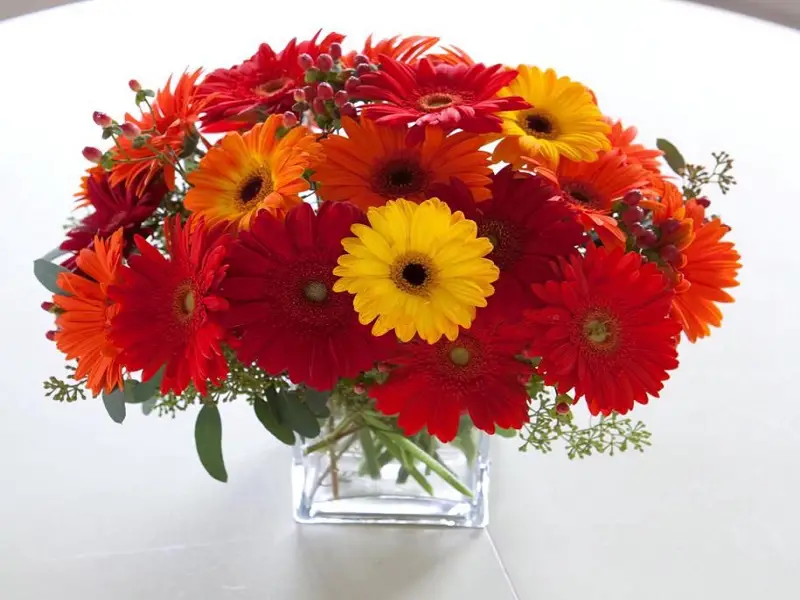 انواع گل خواستگاری