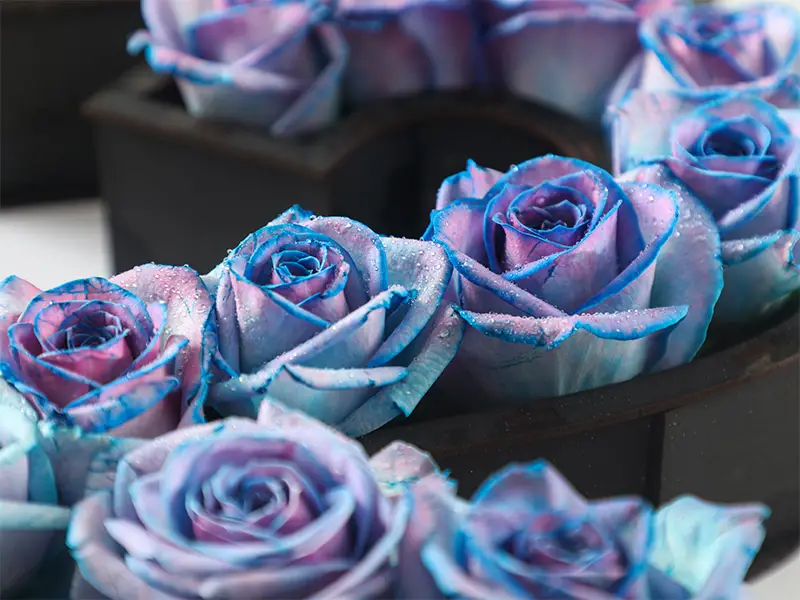 گل رز برای باکس گل عدد