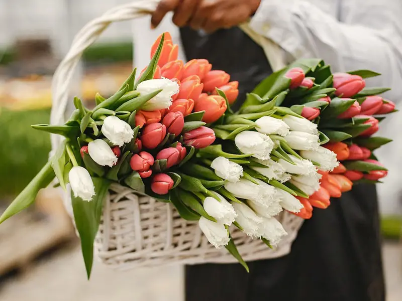 خرید اینترنتی سبد گل از بازار گل لشگری