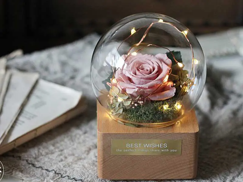 خرید آنلاین رز جاودان