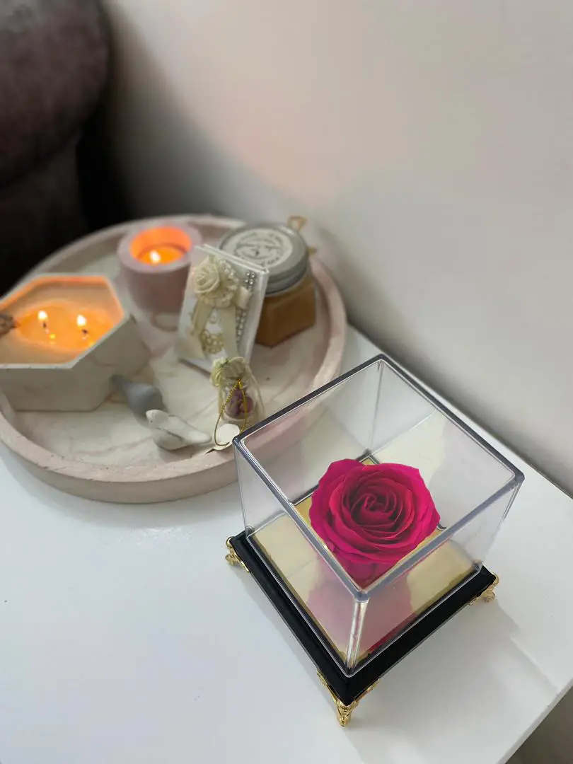 گل رز جاودان طرح فرشته رنگ سرخابی g-rj-rah-775