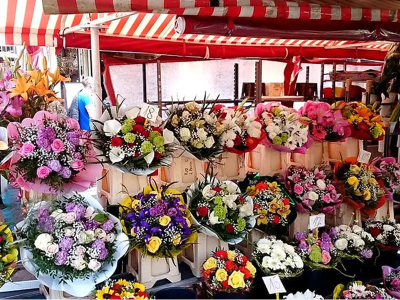 فروشگاه آنلاین گل و گیاه چالوس