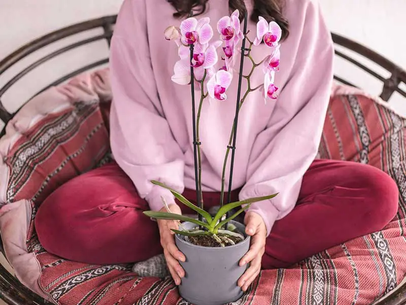 سفارش گل آنلاین شهر ری