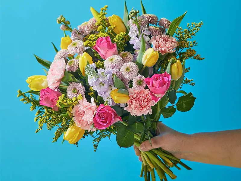 قیمت گلهای آپارتمانی شهر ری