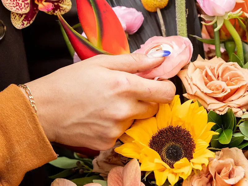 قیمت گلهای آپارتمانی چالوس