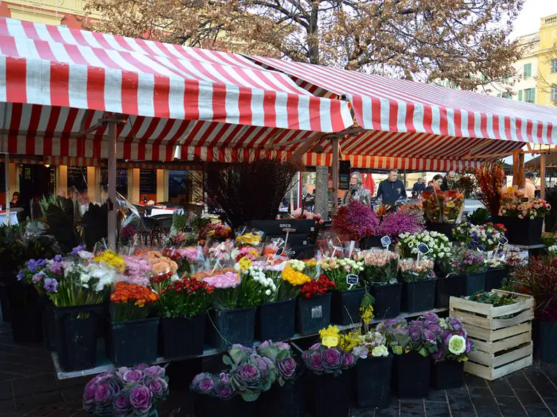 خرید آنلاین گل آپارتمانی نوشهر