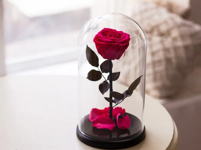 خرید آنلاین رز جاودان