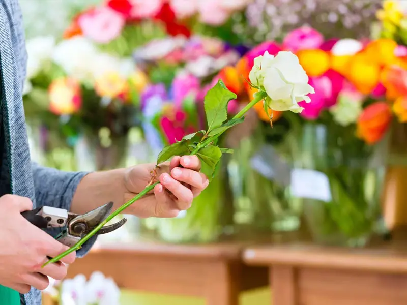 سفارش گل آنلاین سنندج