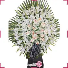 تاج گل مه نگار g-t-cla-1008