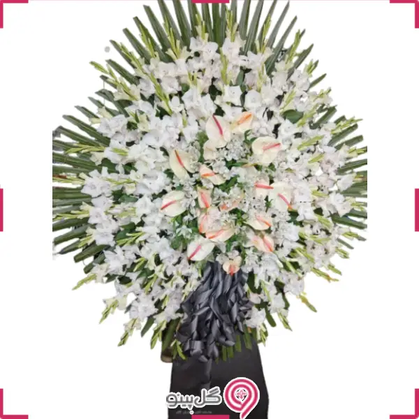 تاج گل مه نگار g-t-cla-1008