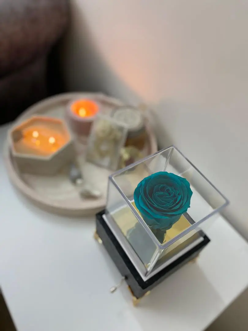 رز جاودان موزیکال لاکچری