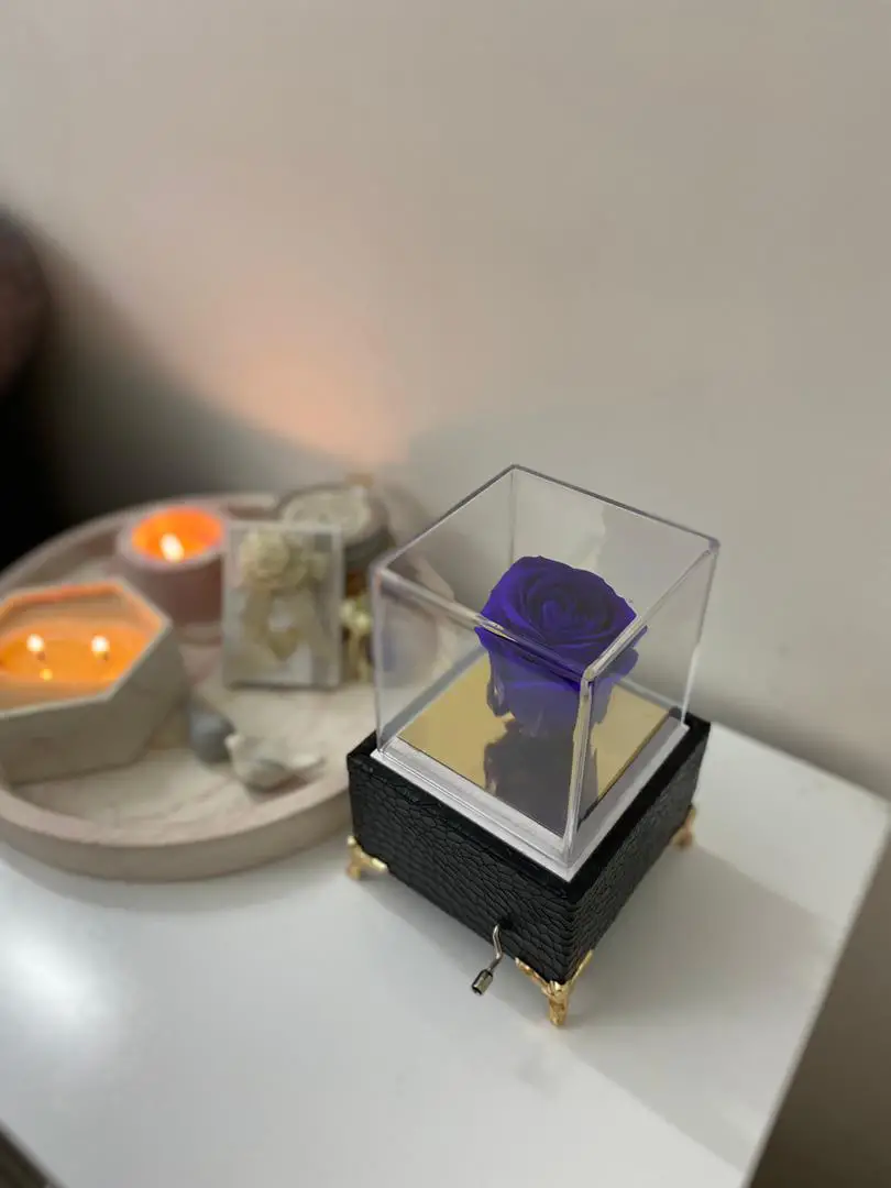 رز جاودان موزیکال لاکچری مشکی g-rj-rah-777